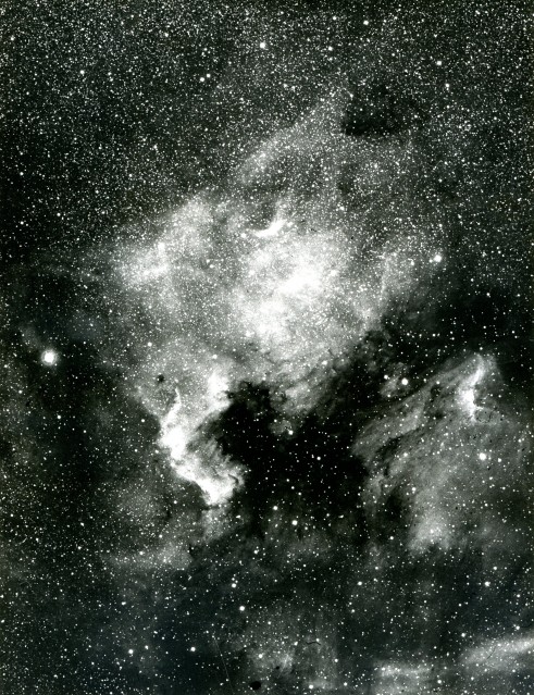 North America Nebula, c. 1920 - Deep Space