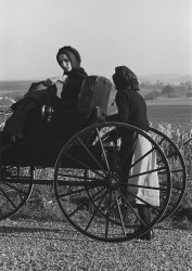 Two Amish Girls, 1966