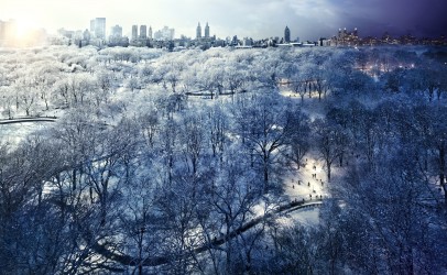 Central Park Snow, NYC