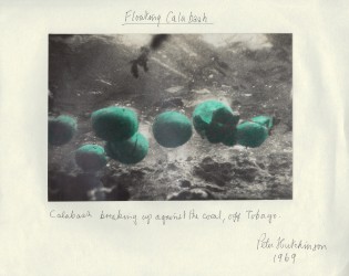 Floating Calabash, 1969