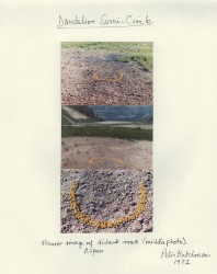 Dandelion Semi-Circle, 1972