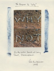 The Answer to “Why”, 1998