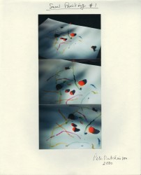 Snail Painting n°1, 2000