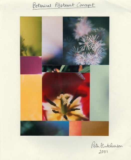 Botanical Abstract Concept, 2001 - Peter HUTCHINSON