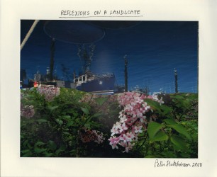 Reflexions on a Landscape, 2010
