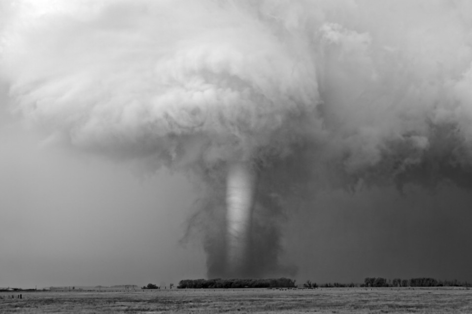 White Tornado - Mitch DOBROWNER