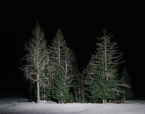 Morgex (AO), 2012