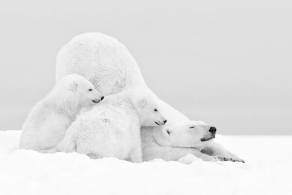 Réveil en famille