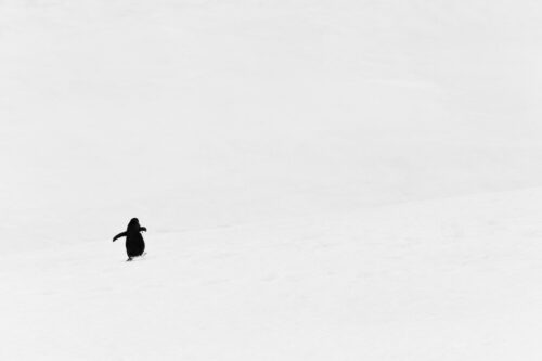 Face à l'immensité