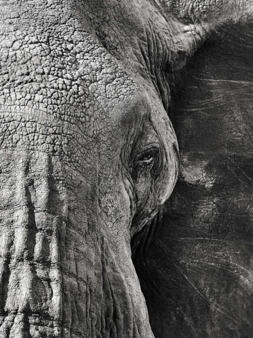 Le regard Part I