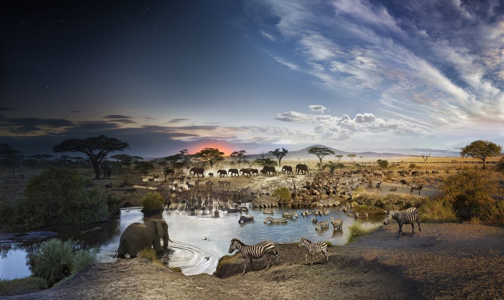 Serengeti National Park, Tanzania