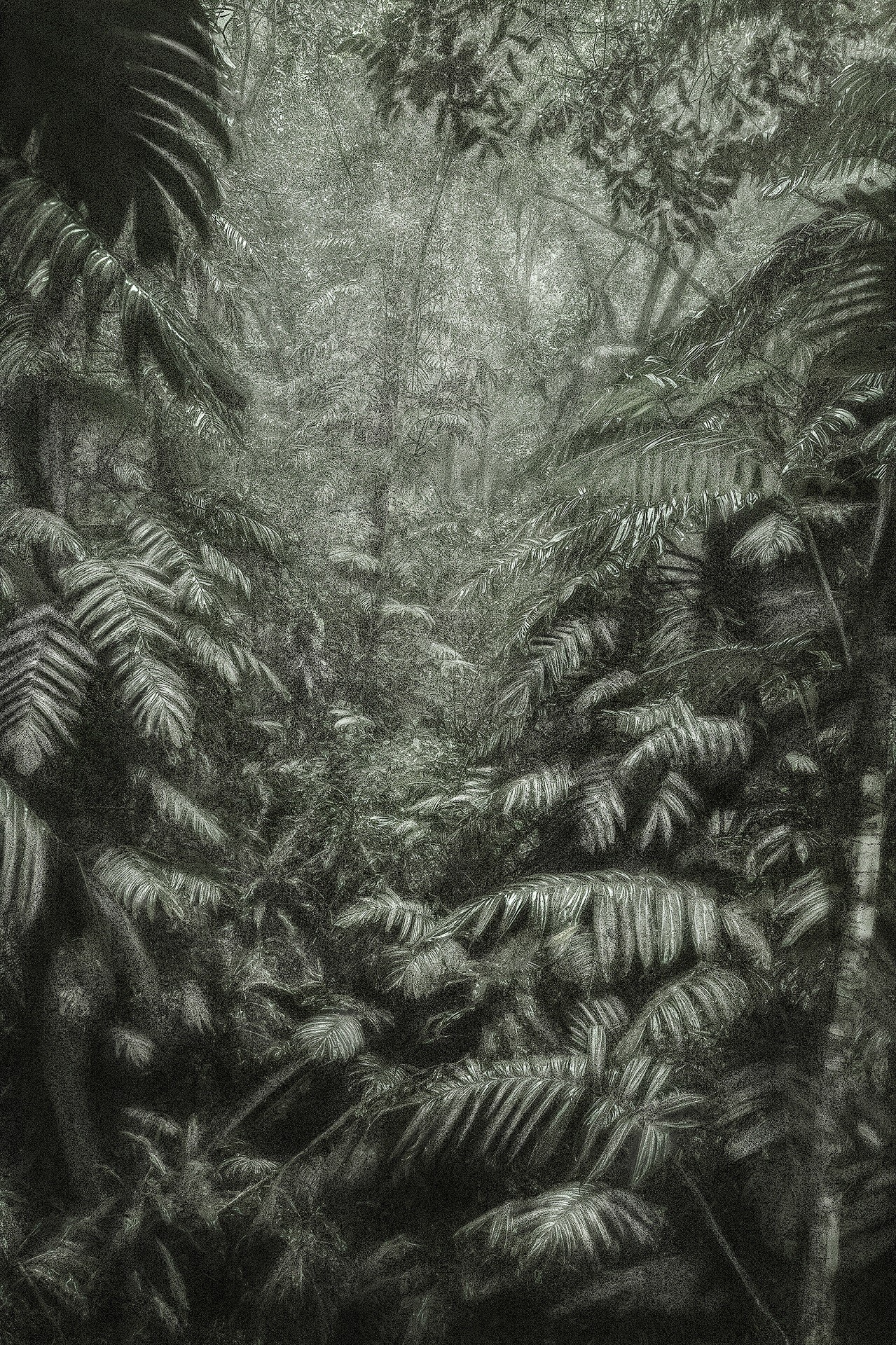 A Picturesque Voyage through Brazil 45