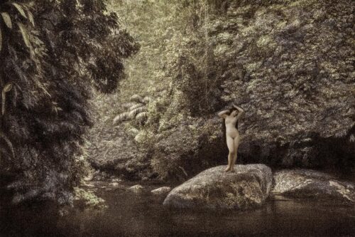 Dryads 8