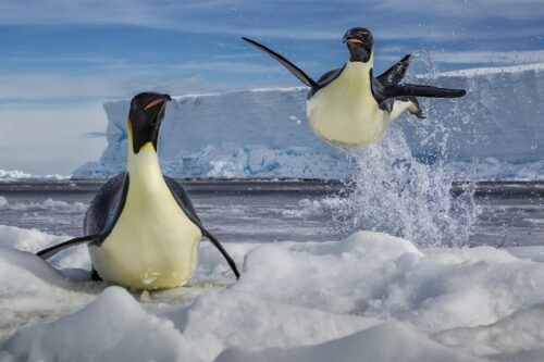 Defying Gravity