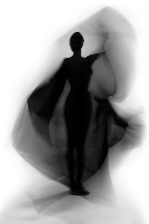 Silhouette - 4