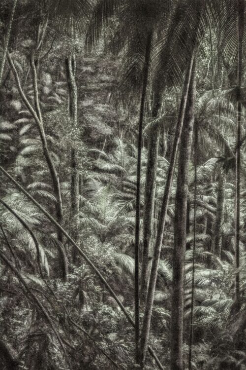 Cassio vasconcellos viagem pitoresca brazil 9