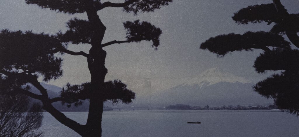 Mineko orisaku swaying galerie gadcollection copie