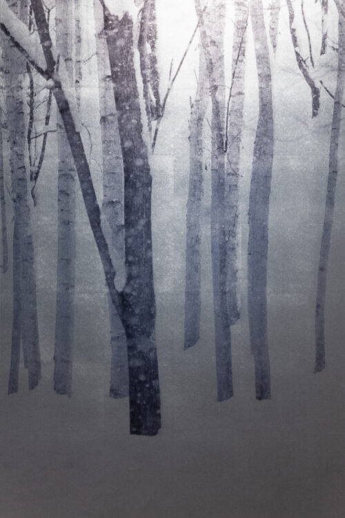 Mineko Orisaku Shirakaba Wood Platinum Gadcollection Copie