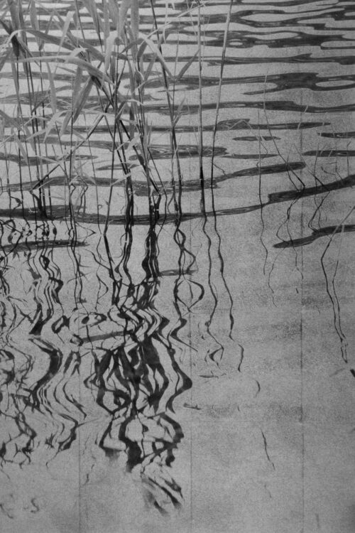 Mineko Orisaku Shirakaba Sea reflects Platinum Gadcollection