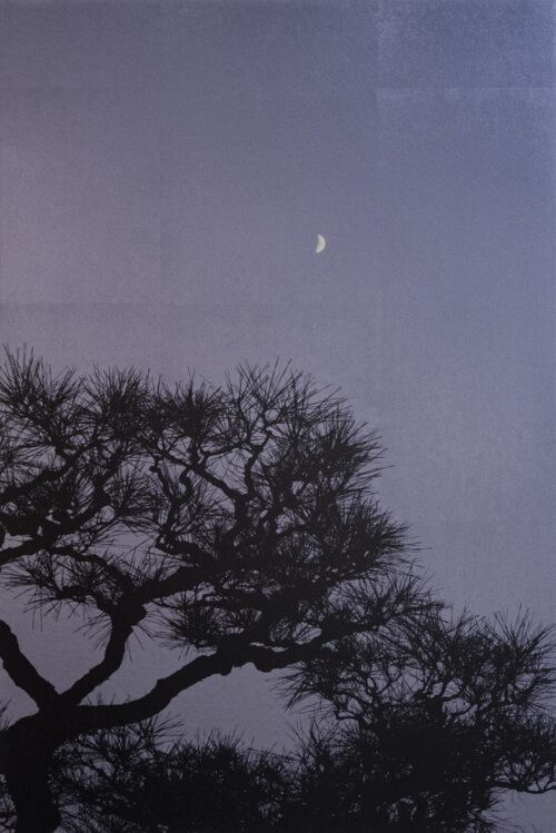 Mineko Orisaku Whispering Pine Moon Night Galerie GADCOLLECTION