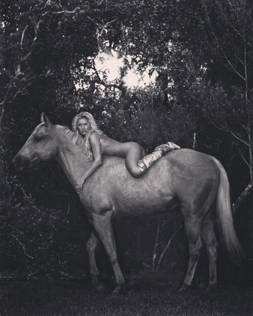 Horse Nude Klinko Gadcollection