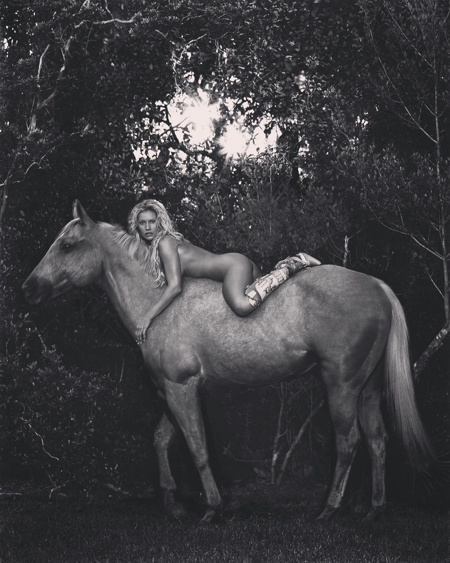 Horse Nude Klinko Gadcollection
