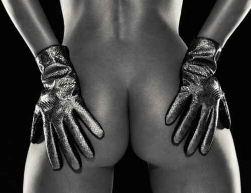 YvesSaintLaurent Gloves Klinko Gadcollection